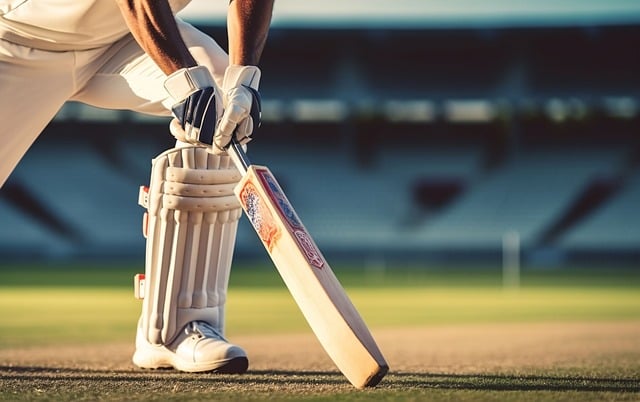 Role of authorities in preventing match-fixing in IPL