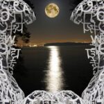 Reddy Anna ID: Comprehensive Guide to Access, Features, and Benefits for BookOnline Users